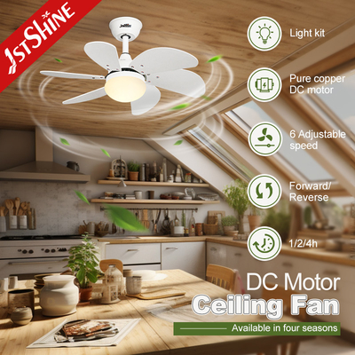 White Ceiling Fan Light Kids' Room DC Motor 30 Inch Mini LED Ceiling Fan