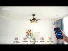 Скрытая клетка для канатов с крышным вентилятором с дистанционным дисковым двигателем