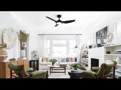 DCF-FS52920 48 дюймов